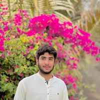 hammalmurad05