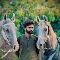 original sound - ray.abdulhai