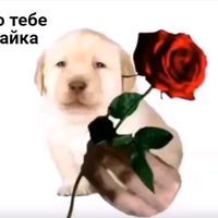 оригинальный звук