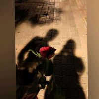 rojda_s22