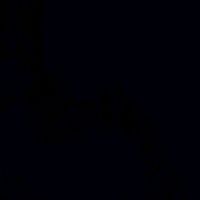 habi_937