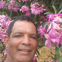 gilberto.mendes003