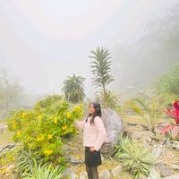 selina____chyyy3