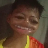 original sound - gun4309