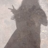 user446356102843