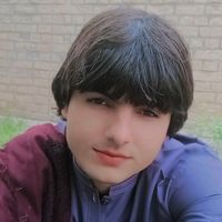 najibi_wazir