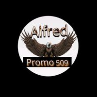 alfredshow3
