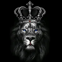 original sound - sabuhi400