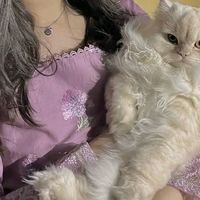 eungi53