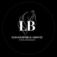 luisdavidb18
