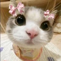 angyramirez734