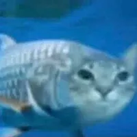 original sound - duongchidoncoi