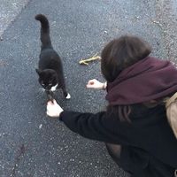 ellie_sca