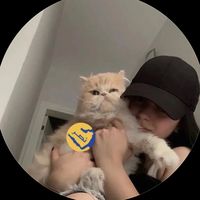 iiksa.r