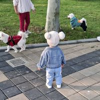herbici_qizi_zeyneb
