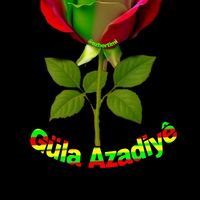 orijinal ses
