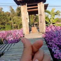 เสียงต้นฉบับ - Lahu ma 😘😘