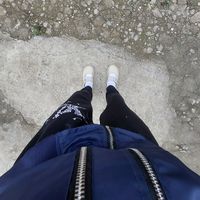 nhạc nền - CHIM sẻ🐧