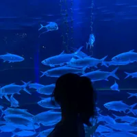 original sound - dellxikk