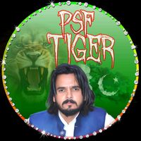 psf.tigeer.is.bac