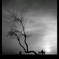 miray_ozd_6573