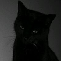 suara asli - Trance