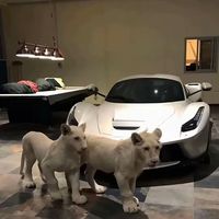 simon_5765