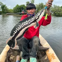 original sound - userlp5vmmm132