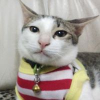 เสียงต้นฉบับ - น้องรวย shop
