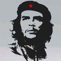 chico.m2401