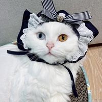 miniqbee