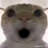 chongjengyapmoe