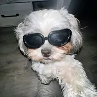 original sound - pin.van.lyta