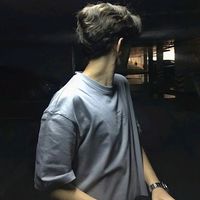 an_20f