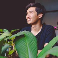 xuantruongtravel