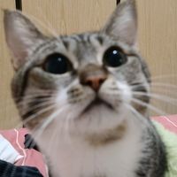 lulukaka._.8