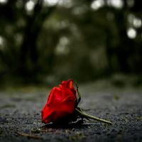 sorrow9570