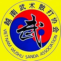 wushu.sanda.vn