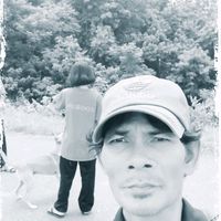 dy4w2s4y41wz