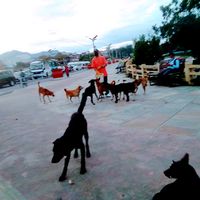 manishrai342