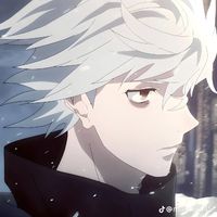 shanimfake