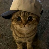 suara asli - (@_@)story__
