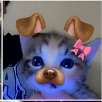 bam_mom56