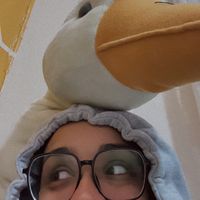 alaayakouutt55