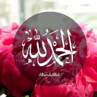 mohammadumar3231