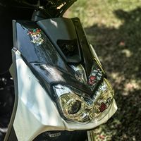 bwsr_5566