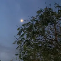 original sound - _g5tj