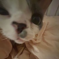 오리지널 사운드 - 민정