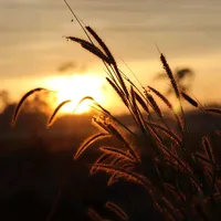 original sound - panuwat051991