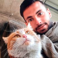 samiahmadzai17